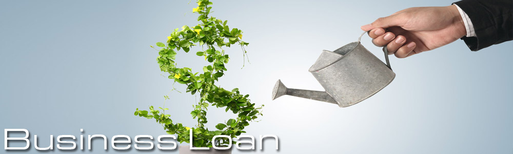 Small Business Loan Live Leads, FHA/VA Mortgage Live Transfers, Cash Advance Live Leads, 